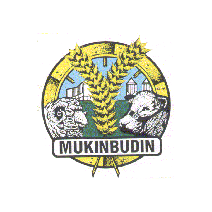 Shire of Mukinbudin Works Depot | local government office | LOT 144 Bent St, Mukinbudin WA 6479, Australia | 0890471802 OR +61 8 9047 1802