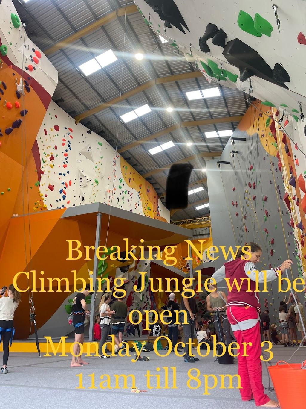Climbing Jungle |  | 28 Smith Dr, West Ballina NSW 2478, Australia | 0266867464 OR +61 2 6686 7464