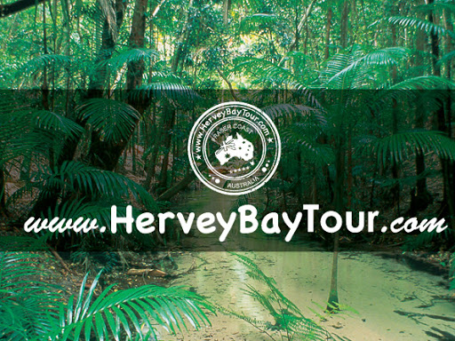 HerveyBayTour.com | travel agency | 414 Esplanade, Torquay QLD 4655, Australia | 0409555820 OR +61 409 555 820