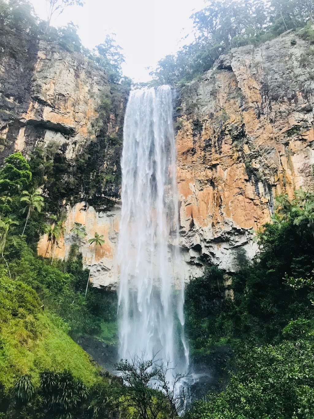 Purling Brook Falls, Springbrook National Park | park | Forestry Rd, Springbrook QLD 4213, Australia