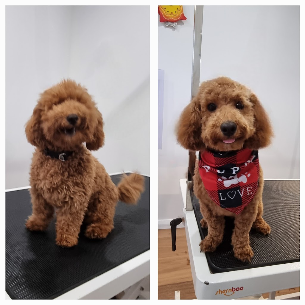 Alpine Doggy DTailing | 2 Mathews St, Myrtleford VIC 3737, Australia | Phone: 0456 698 455