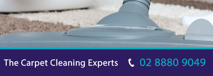 PRO Carpet Cleaning Sydney | laundry | 61/38 Driver Ave, Moore Park NSW 2021, Australia | 0288809049 OR +61 2 8880 9049