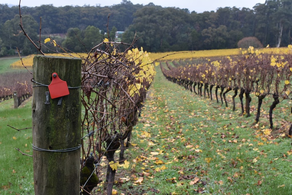 Gembrook Hill Vineyard | 2850 Launching Place Rd., Gembrook VIC 3783, Australia | Phone: (03) 5968 1622