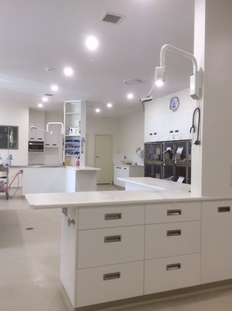 Murray Bridge Veterinary Clinic | pharmacy | 140 Swanport Rd, Murray Bridge SA 5253, Australia | 0885314000 OR +61 8 8531 4000