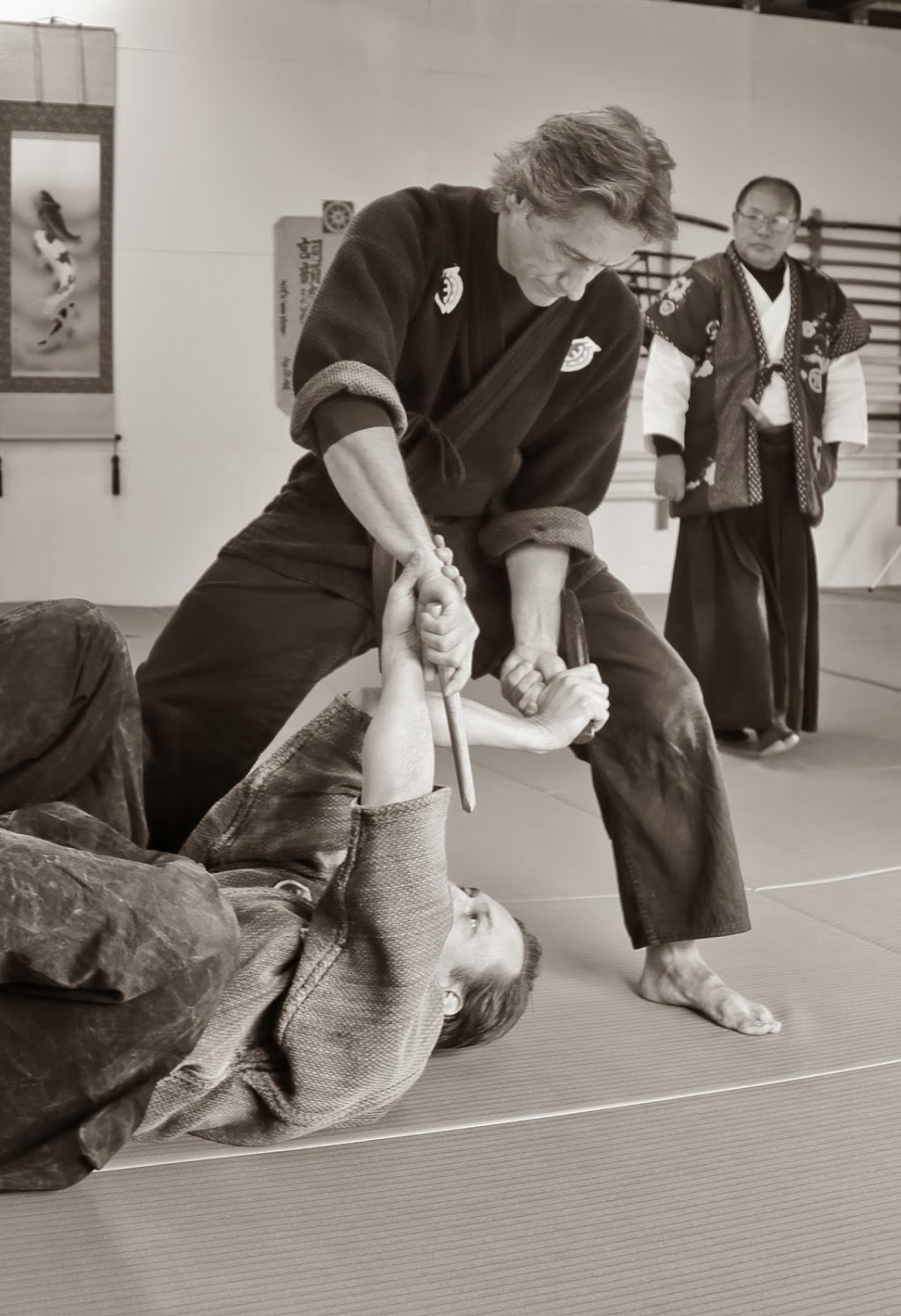 Jujutsu Martial Arts - Jinenkan Kensho Dojo | health | 14 Sandhurst Cres, Jan Juc VIC 3228, Australia | 0432519910 OR +61 432 519 910