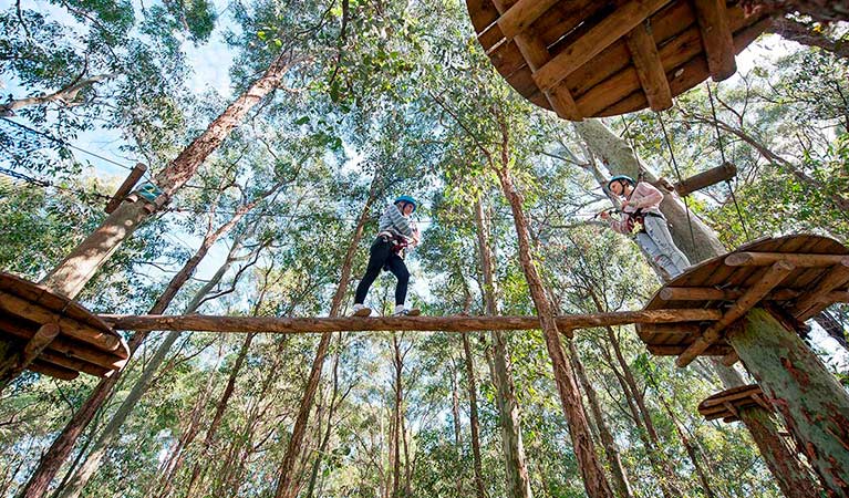 WildNets Adventure Newcastle - Previously TreeTops | Treetops Rd, Minmi NSW 2287, Australia | Phone: 0435 422 447