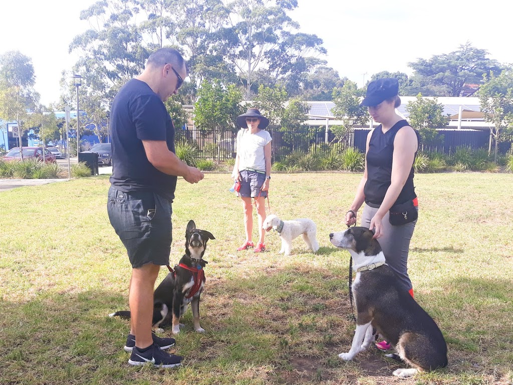 Eazy Dog Training | 8 Alice St, Newtown NSW 2042, Australia | Phone: 0404 022 114