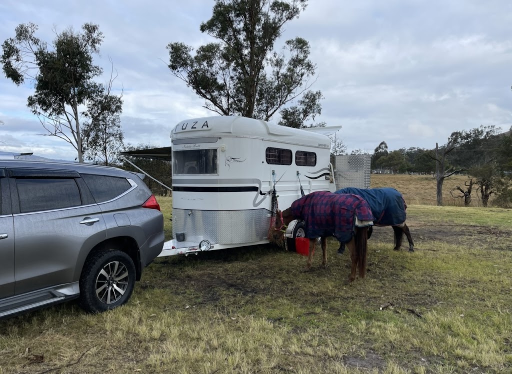 Haynes Equine Transport - Hunter Valley | point of interest | 13 Rifle St, Clarence Town NSW 2321, Australia | 0447818922 OR +61 447 818 922