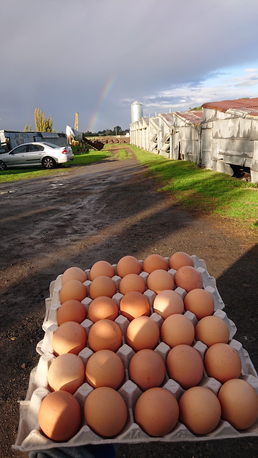 Egg Farm | food | 224-226 Old Dandenong Rd, Heatherton VIC 3202, Australia | 0395511593 OR +61 3 9551 1593