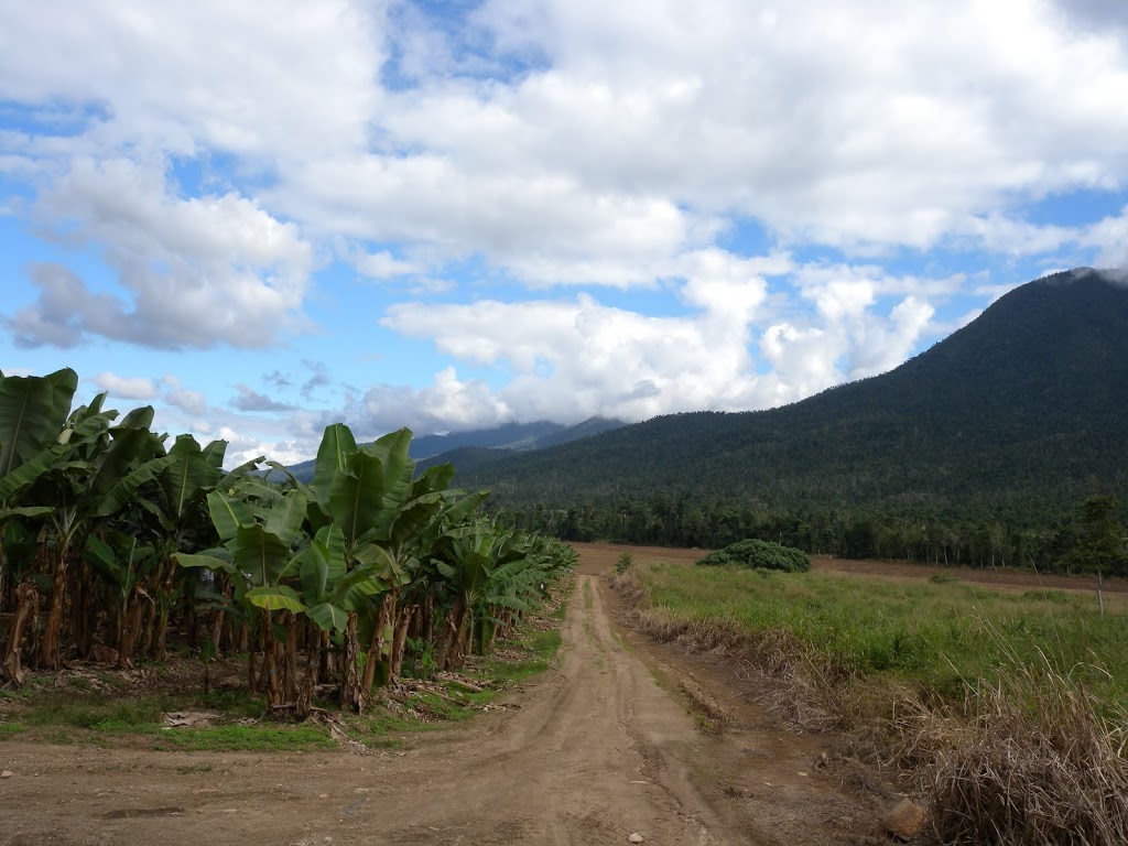 Mackays banana packing shed in Tully Valley | Cardstone QLD 4854, Australia | Phone: (07) 4088 7800