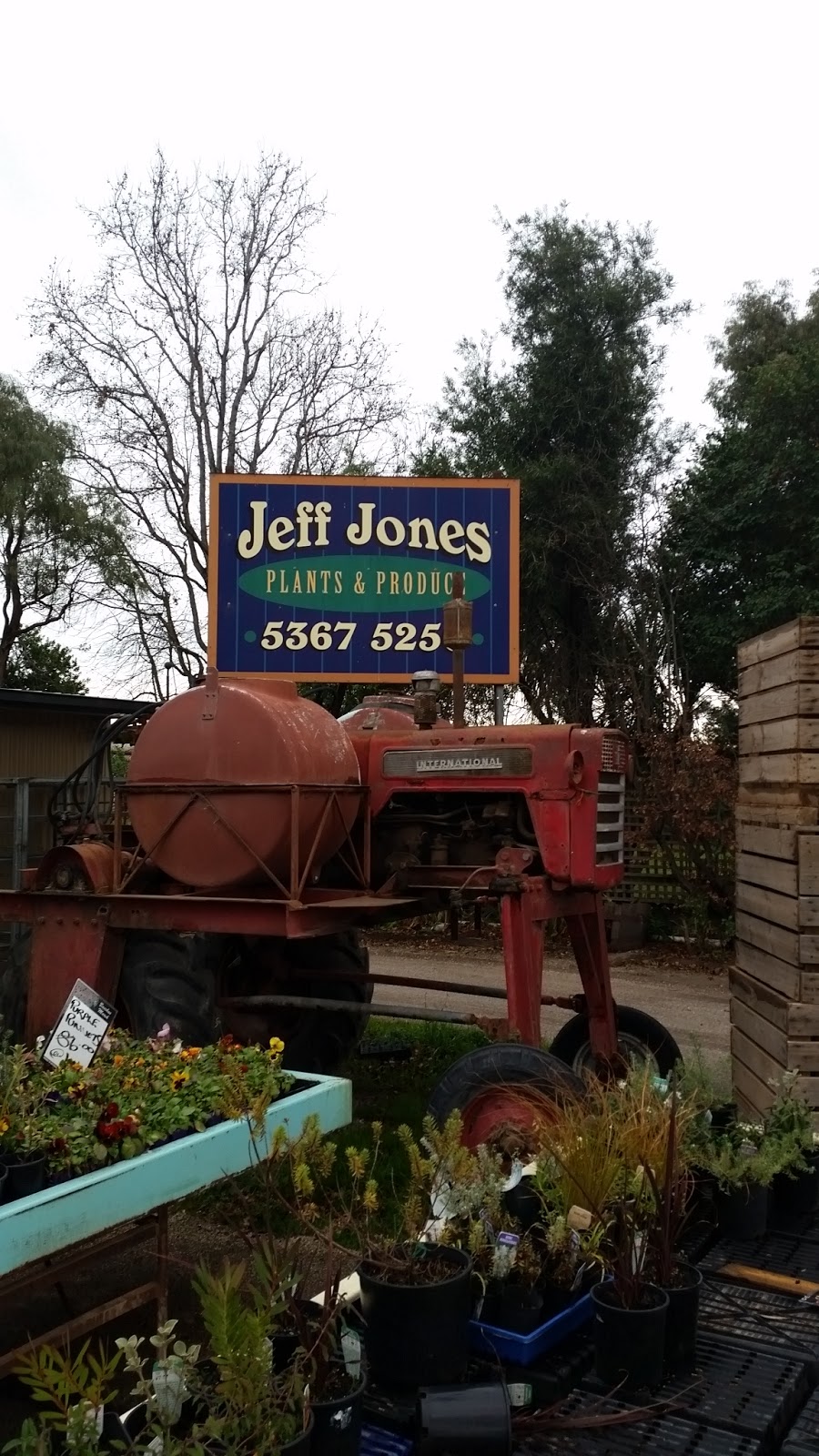 Jeff Jones Plants & Produce | store | 388 Bacchus Marsh Rd, Bacchus Marsh VIC 3340, Australia | 0353675250 OR +61 3 5367 5250
