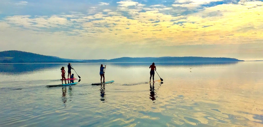 SUP Tours with Tasmanian Walkinbarefoot East Coast Tours | 3 Westbrook La, St Helens TAS 7216, Australia | Phone: 0497 284 148