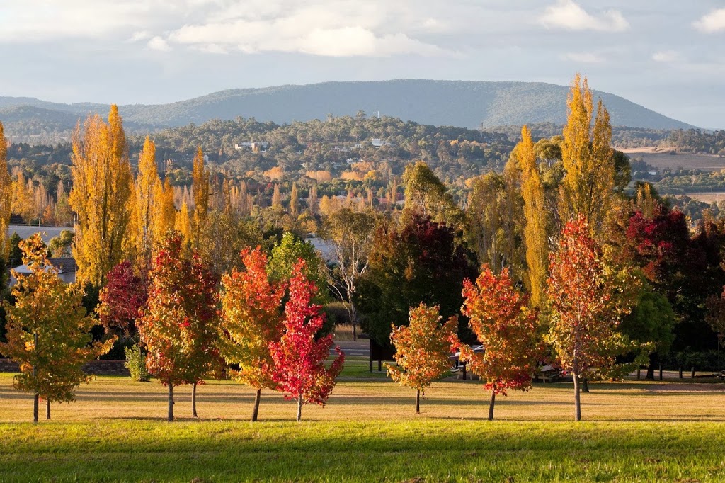 Tourist Information | 82 Marsh St, Armidale NSW 2350, Australia | Phone: (02) 6770 3888