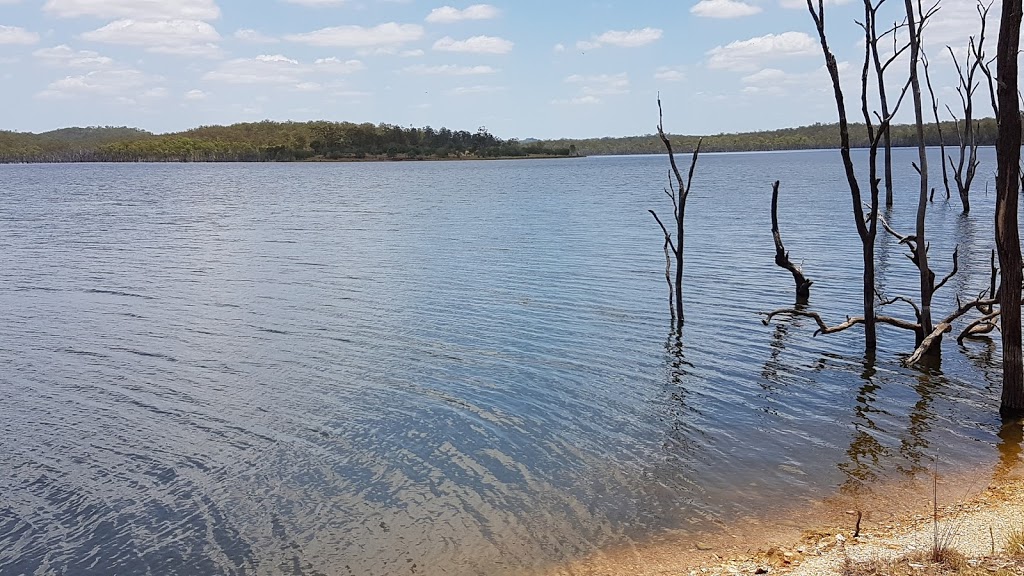 Good Night Scrub National Park | Gin Gin QLD 4671, Australia | Phone: (07) 4153 8888