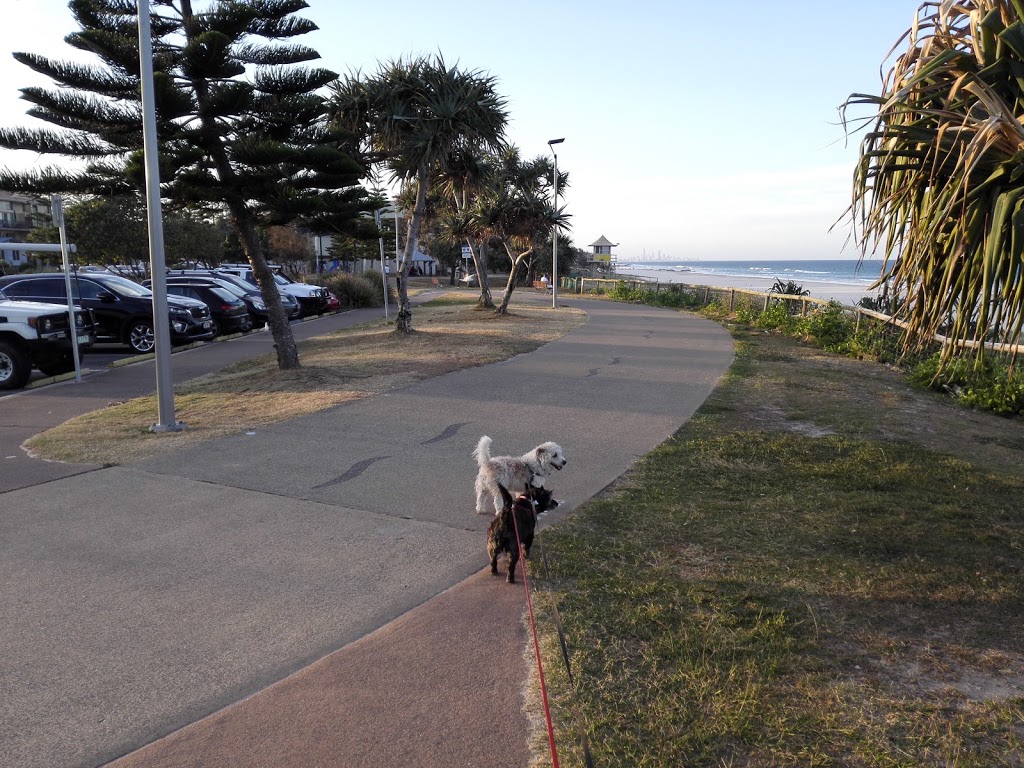 Wyberba Street Reserve | park | Toolona St, Tugun QLD 4224, Australia