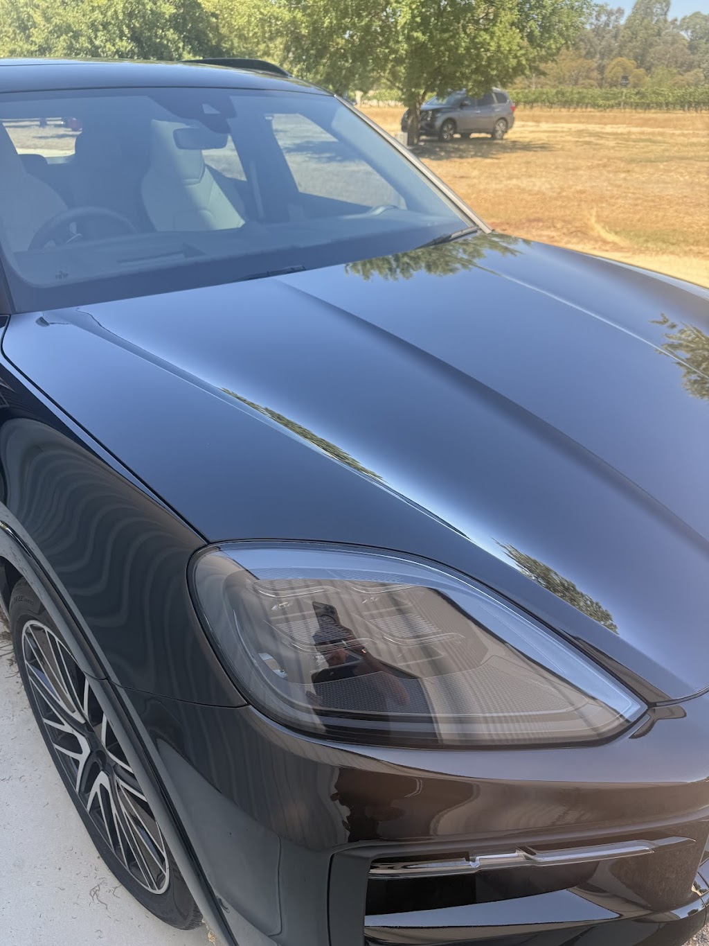 Wanted Paint Protection Film & Wraps | 2a Gibson St, Wangaratta VIC 3677, Australia | Phone: (03) 5722 2165