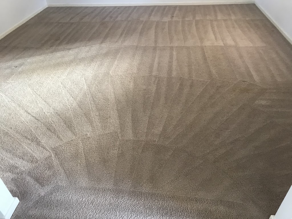 Sydney Steemer Carpet Cleaner | 15 Godfrey St, Penshurst NSW 2222, Australia | Phone: (02) 9580 3977