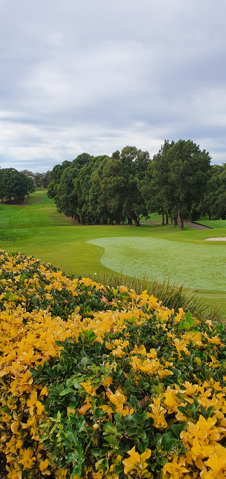 Bexley Golf Club | 203 Stoney Creek Rd, Kingsgrove NSW 2207, Australia | Phone: (02) 9150 9062