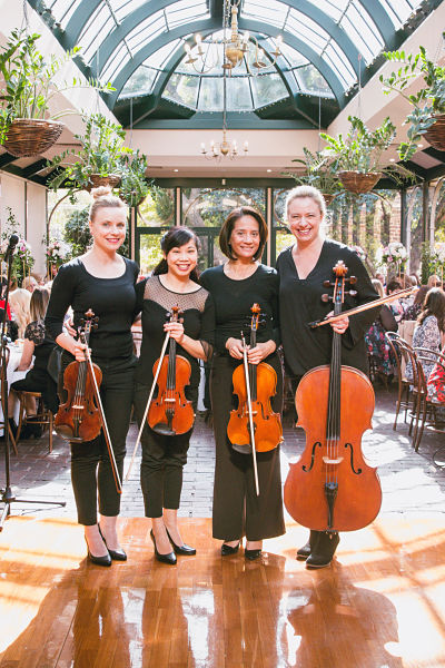 Amicus Strings | P.O Box 82, Glen Osmond SA 5064, Australia | Phone: 0413 929 767