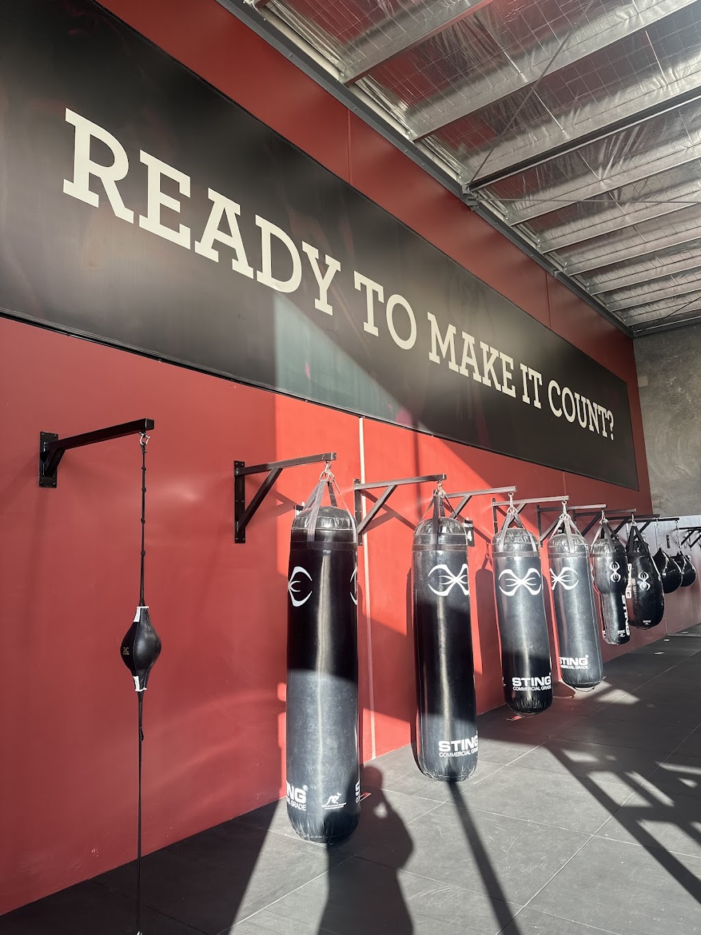 Eight Count Boxing & Performance | 32 Raptor Pl, South Geelong VIC 3220, Australia | Phone: 0415 622 613