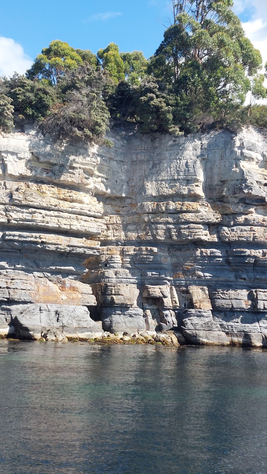 Cape Raoul Cruises | Port Arthur Historic Site, Jetty Rd, Port Arthur TAS 7182, Australia | Phone: (03) 6234 4270