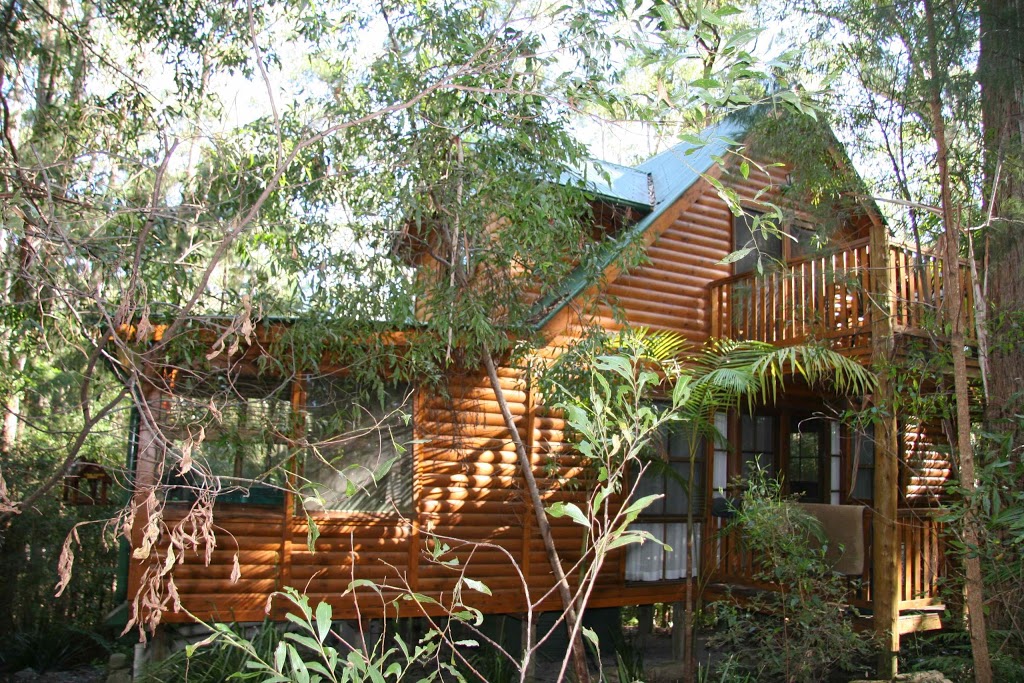 Springbrook Mountain Chalets | 2058 Springbrook Rd, Springbrook QLD 4213, Australia | Phone: (07) 5533 5205