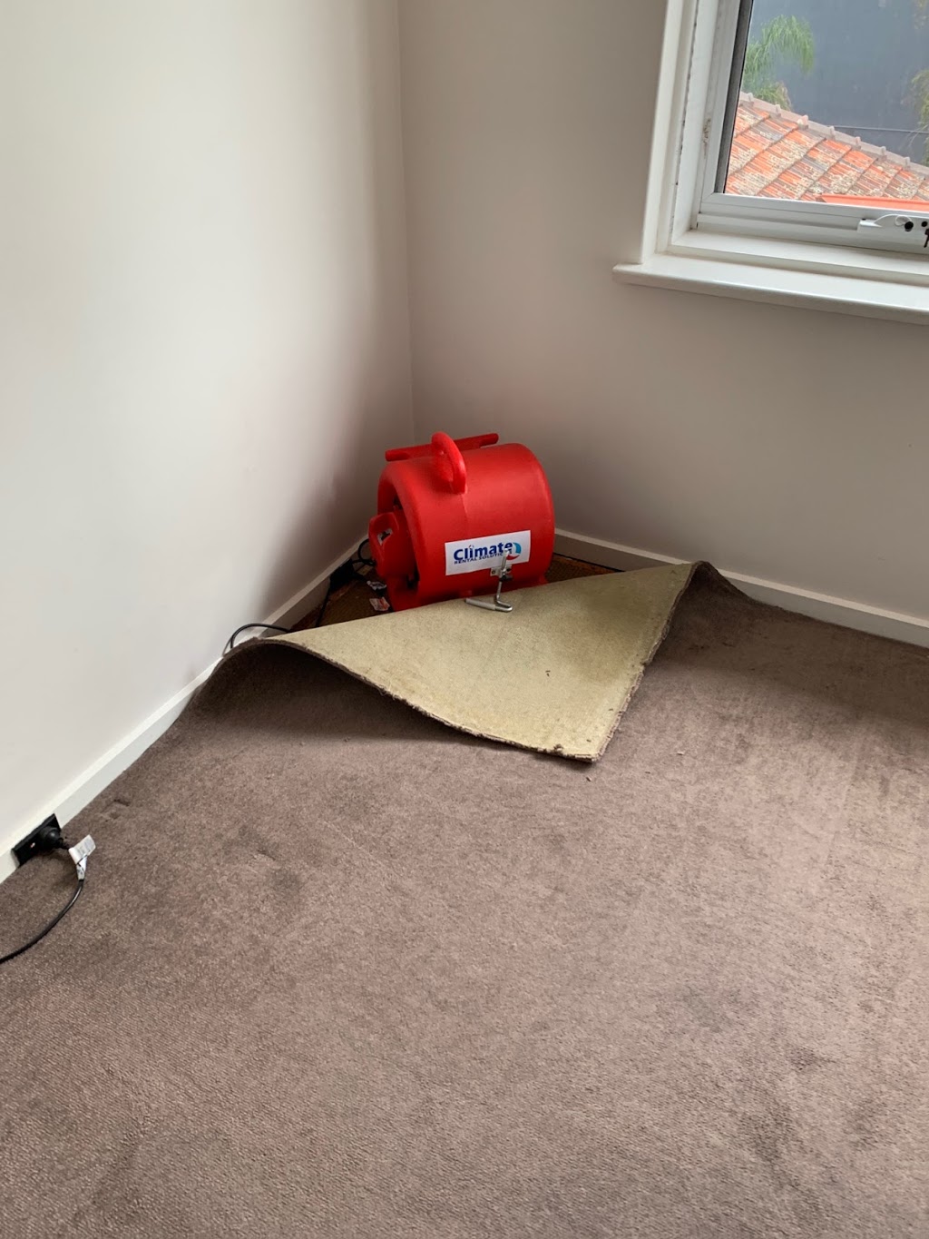 The Squeaky Clean Team - Carpet & Upholstery Cleaning, Water Dam | laundry | Unit 3/5 Carr St, Brighton East VIC 3187, Australia | 1300682563 OR +61 1300 682 563
