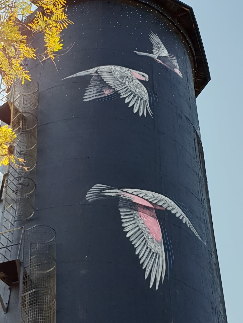 Silo art. Painted water tower by John Murray | museum | Coonamble NSW 2829, Australia