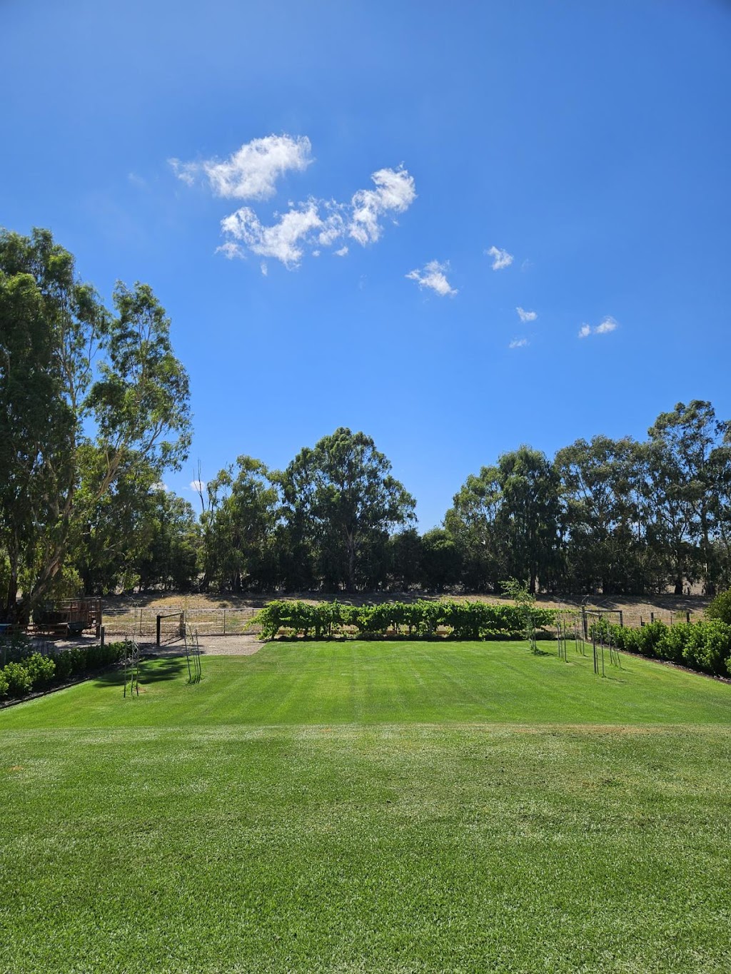 Apex Property and Garden Maintenance | 28 Manzanillo Ave, Moama NSW 2731, Australia | Phone: 0439 449 969