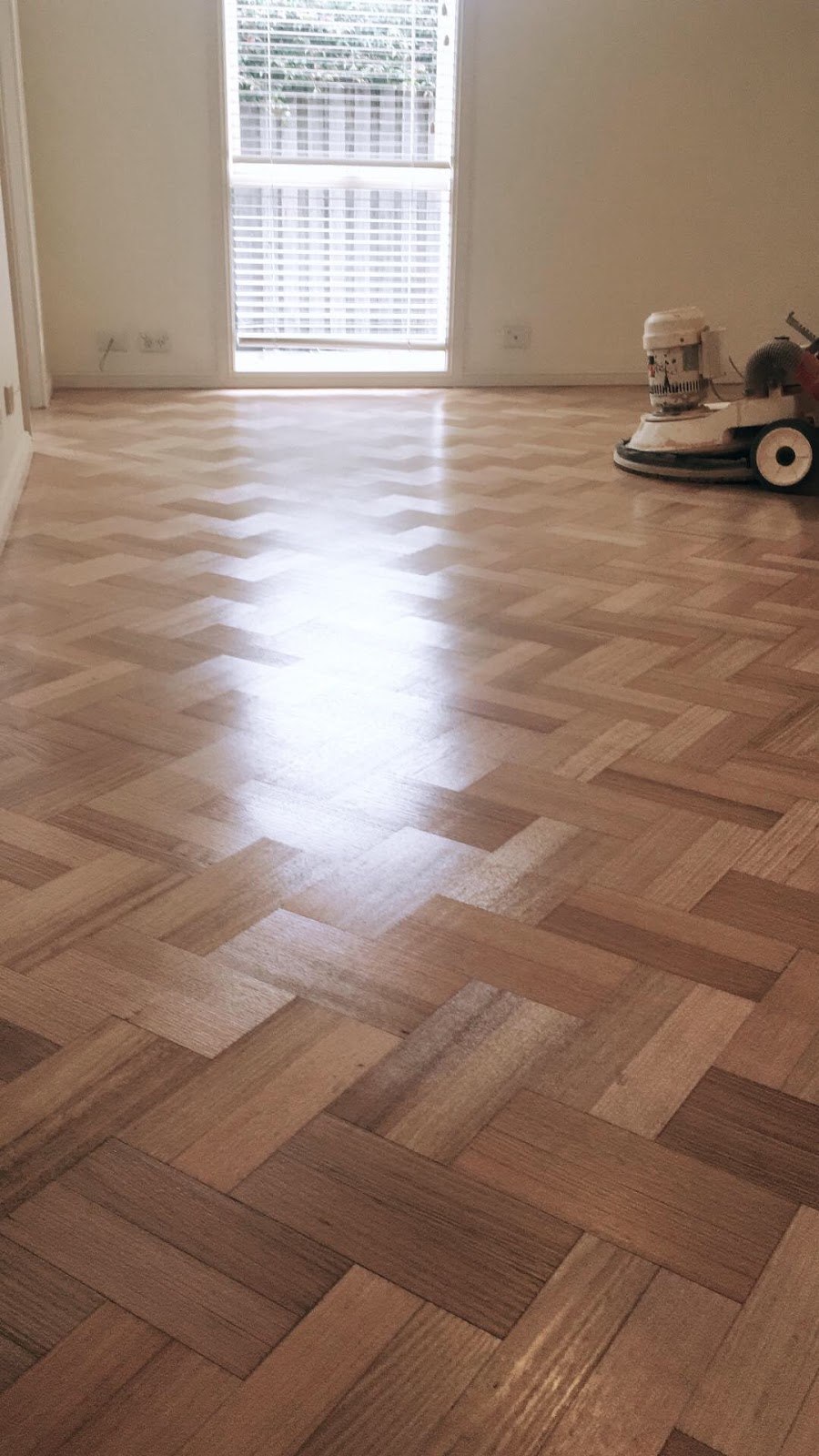 Celtic Floor Sanding |  | 11 Copperfield Dr, Ambarvale NSW 2560, Australia | 0478915683 OR +61 478 915 683