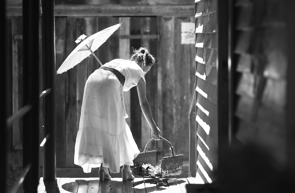 D. Milsom Photography | 256 Beacon Rd, Tamborine Mountain QLD 4272, Australia | Phone: 0411 537 109