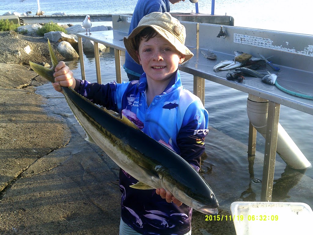 Narooma Fishing Charters | Apex Park, Centenary Dr, Narooma NSW 2546, Australia | Phone: 0432 599 619