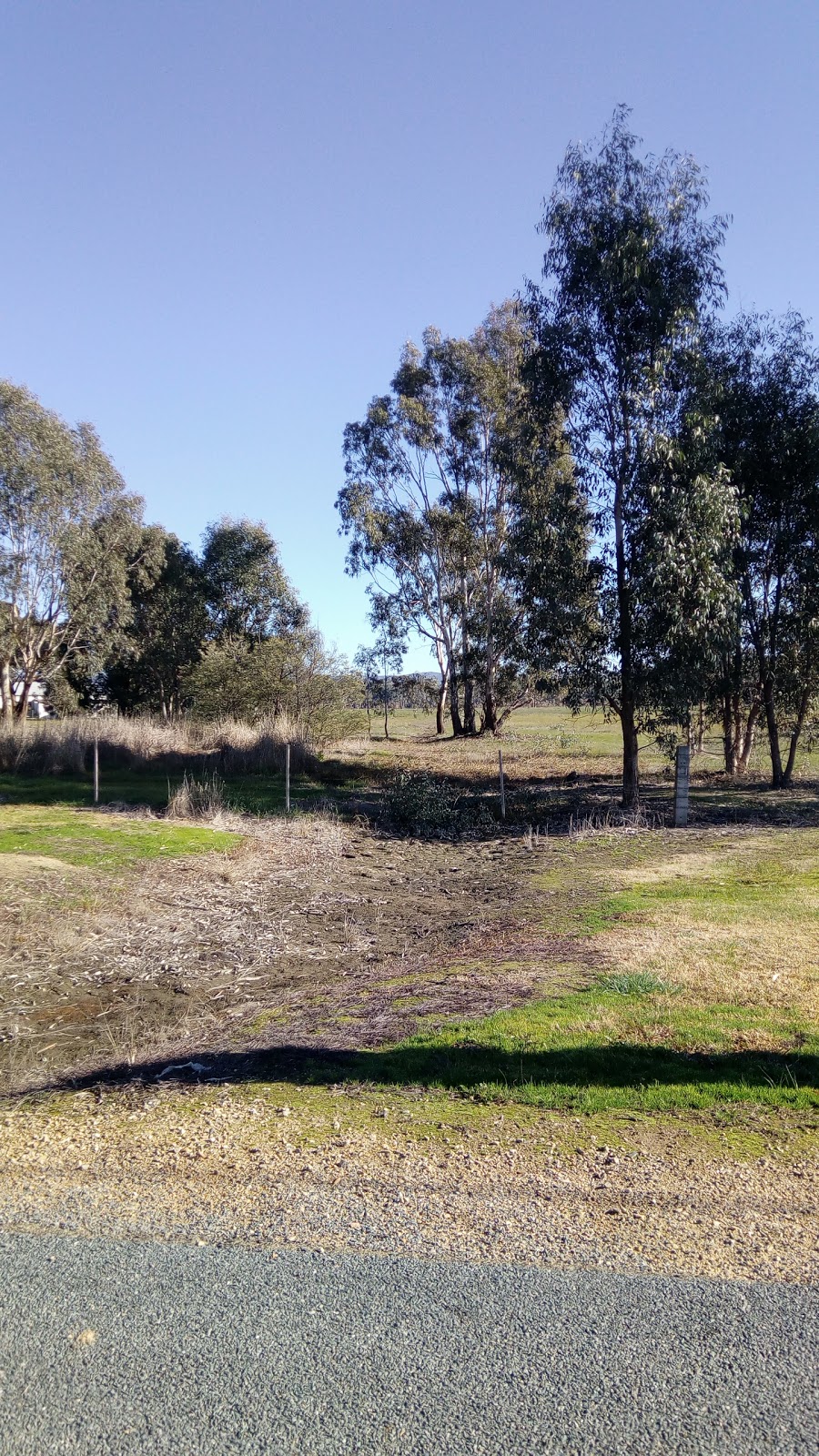 Wangaratta Common Nature Conservation Reserve | Tone Rd, Wangaratta VIC 3677, Australia | Phone: 13 19 63