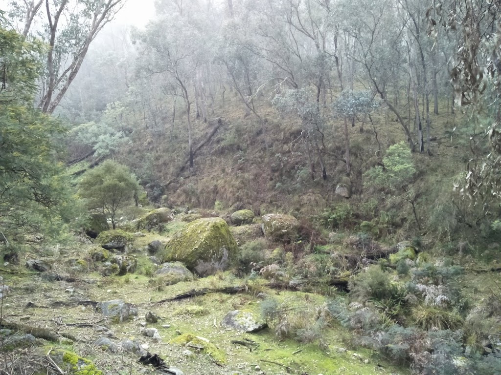 Mount Granya State Park | park | Georges Creek Road, Granya VIC 3701, Australia | 131963 OR +61 131963