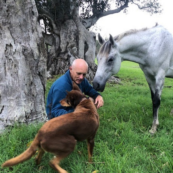 Richmond Valley Equine Assisted Learning | Ainsworth Rd, Mongogarie NSW 2470, Australia | Phone: 0407 842 338