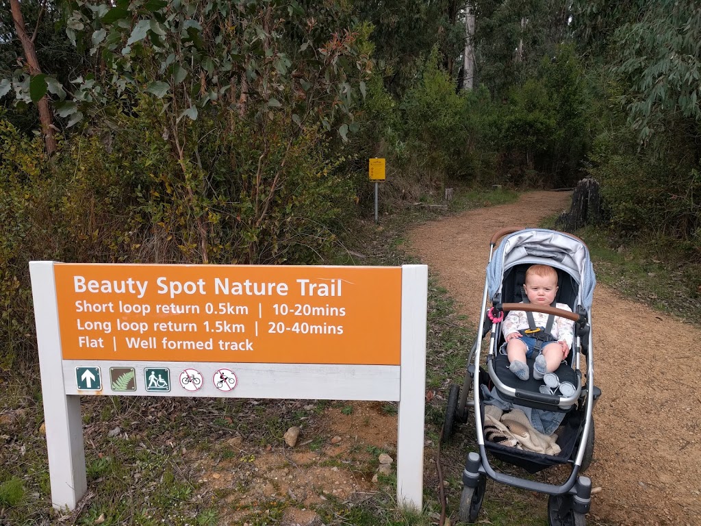 Beauty Spot Nature Trail Car Park | park | Marysville VIC 3779, Australia