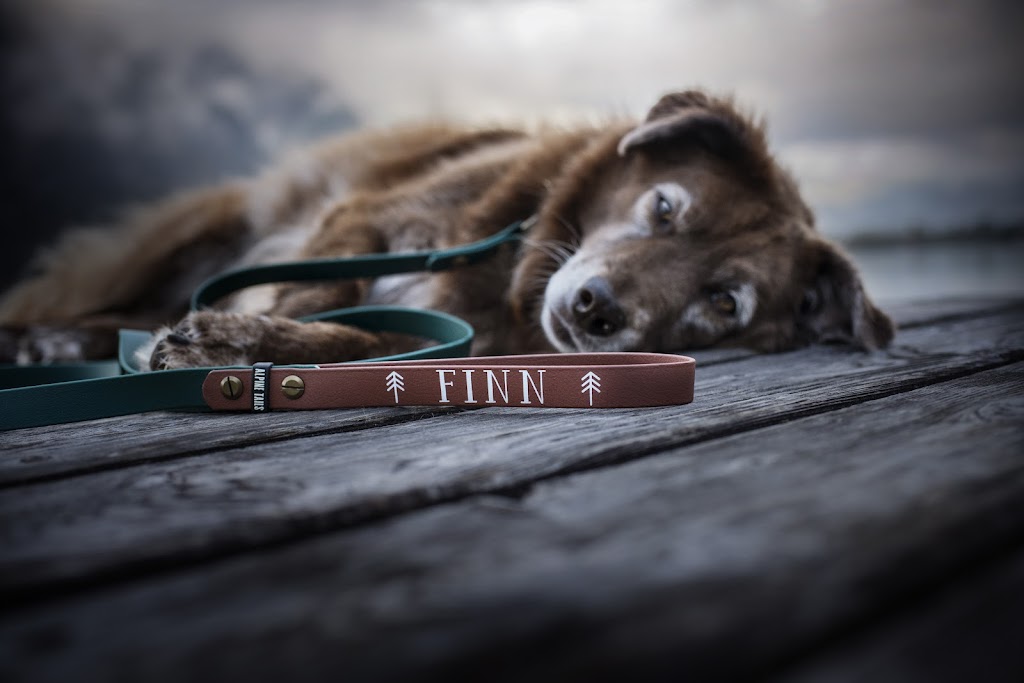 Alpine Tails dog products | 8 Gallipoli St, Port Kembla NSW 2505, Australia | Phone: 0430 744 162