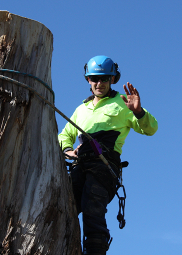 Tip Top Tree Services |  | 7/17 Cemetery Rd, Helensburgh NSW 2508, Australia | 0431184095 OR +61 431 184 095