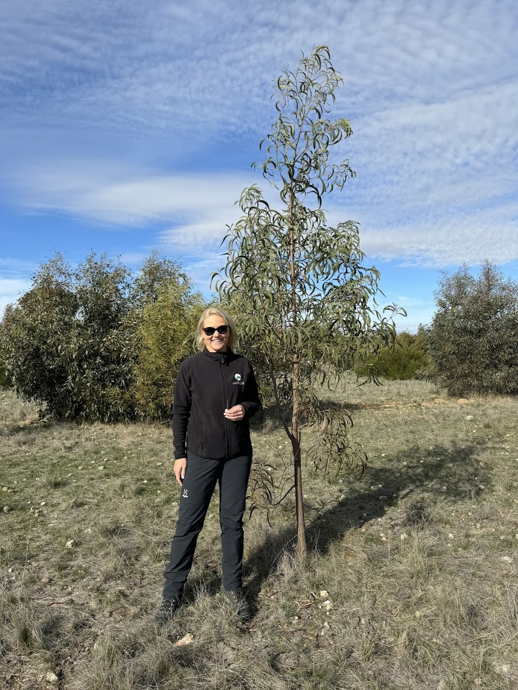 Land Life | Social Foundry Building, 86 Mollison St, Kyneton VIC 3444, Australia | Phone: 0428 298 582