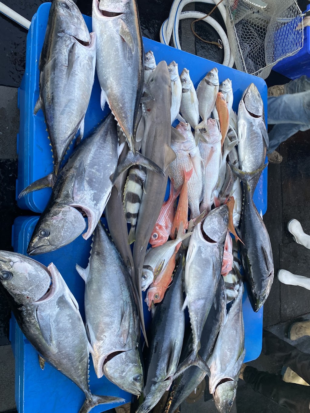 Jb fishing charters | Robe marina, Robe SA 5276, Australia | Phone: 0417 399 480