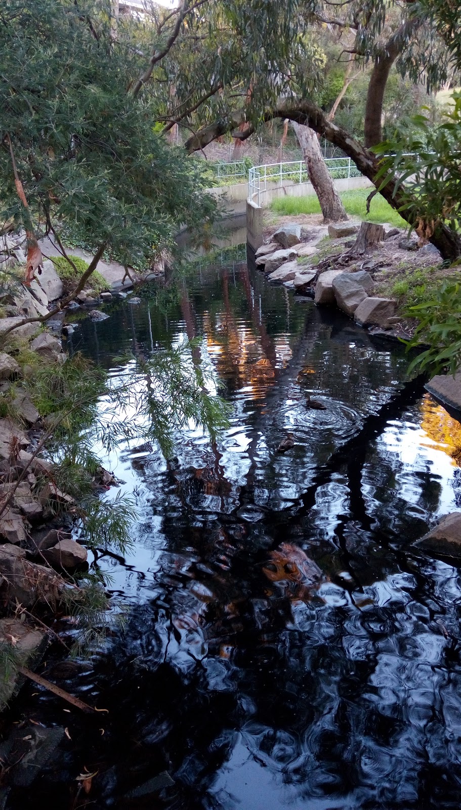 Waverley Road Basin | park | Scotchmans Creek Trail, Mount Waverley VIC 3149, Australia