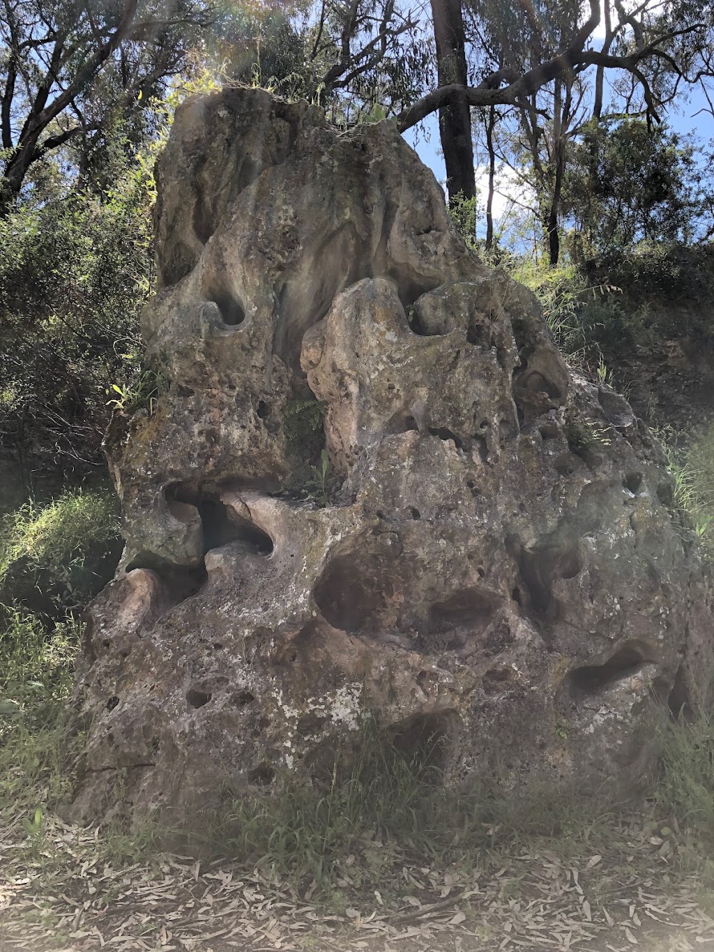 Boomerang Gorge - Dwerta Mia Walk Trail | tourist attraction | Yanchep WA 6035, Australia | 0893037759 OR +61 8 9303 7759