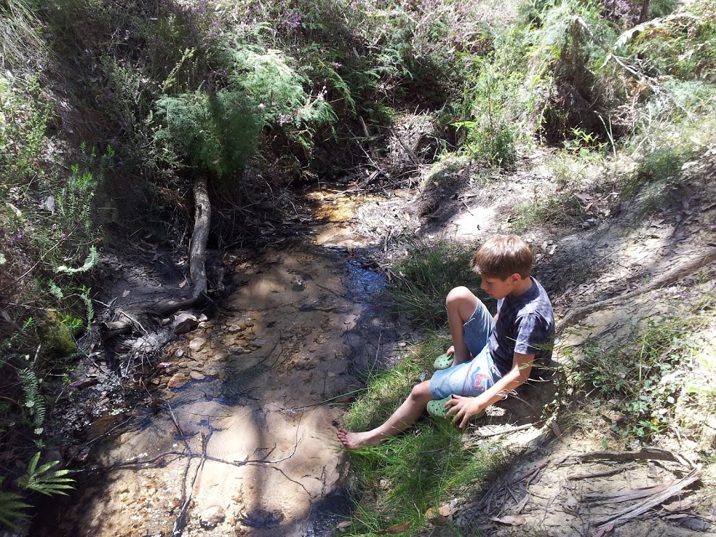 Strachans Campground | Sawmill Track, Grampians VIC 3314, Australia | Phone: 13 19 63