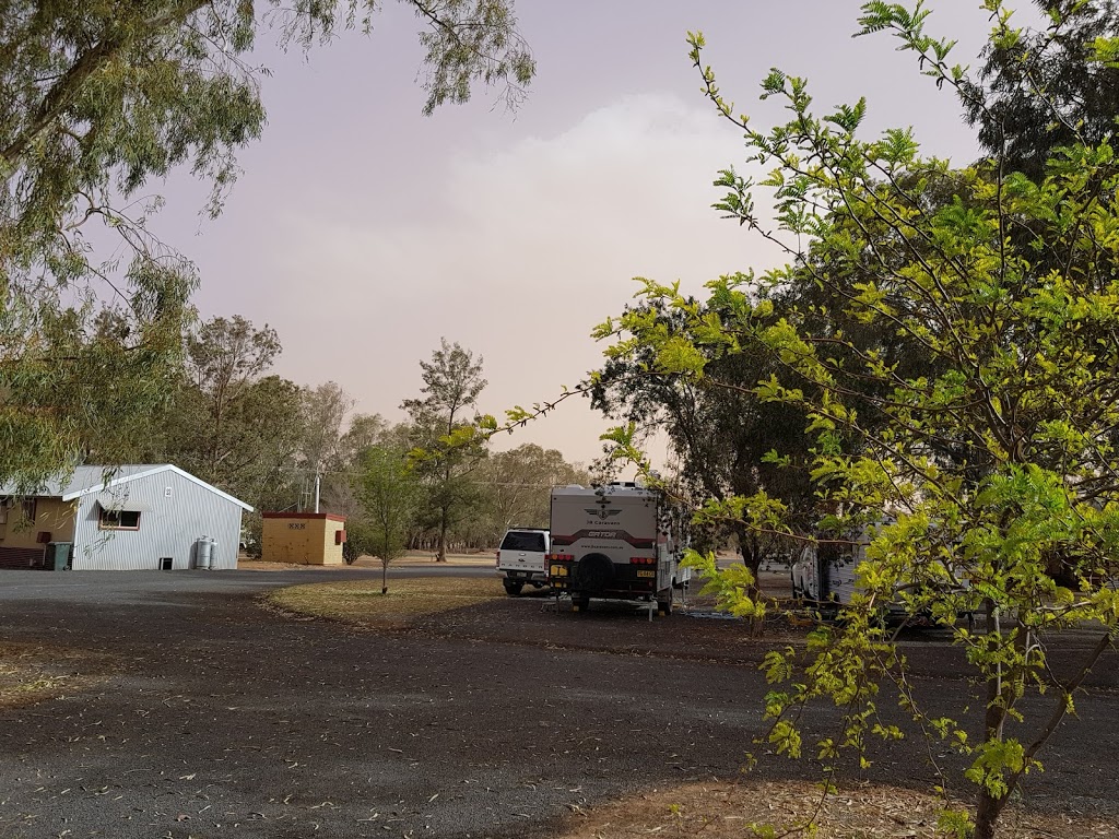 Nyngan Riverside Tourist Park | lodging | Broken Hill Road, Bogan Shire NSW 2825, Australia | 0268321729 OR +61 2 6832 1729