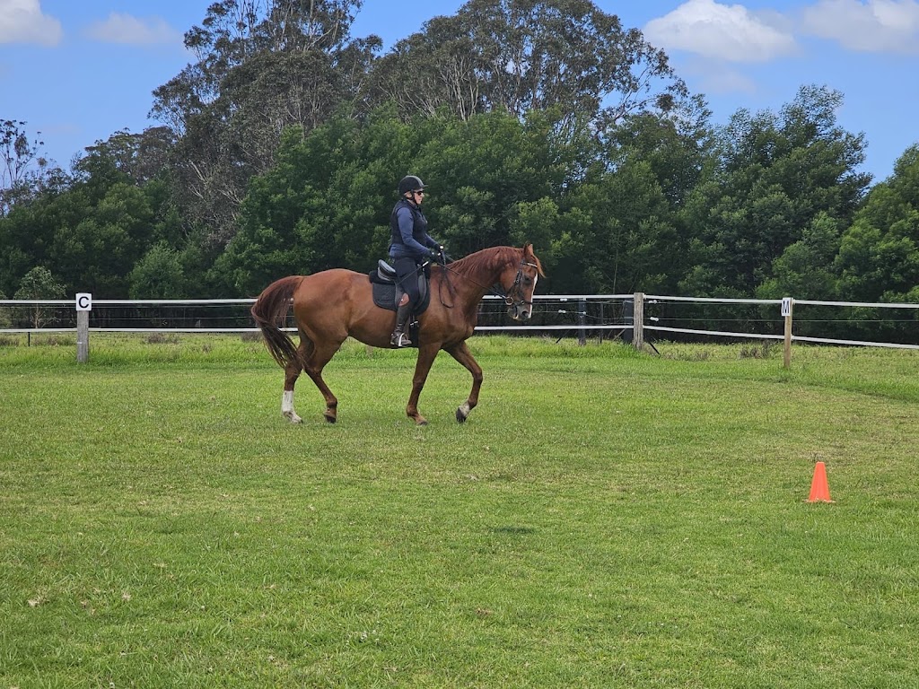 Kelly Zorn | Hayes Ln, Horsley NSW 2530, Australia | Phone: 0452 337 322