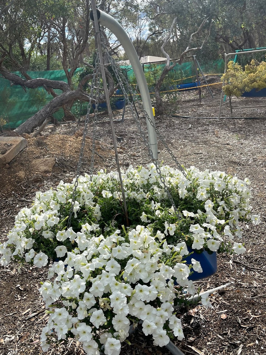 Kris Hobby Farm | 109 Junortoun Rd, Junortoun VIC 3551, Australia | Phone: 0468 462 192