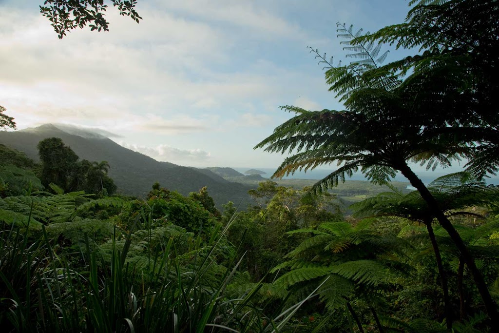 Floravilla Ice Cream Factory | 335 Cape Tribulation Rd, Cow Bay QLD 4873, Australia | Phone: (07) 4098 9100