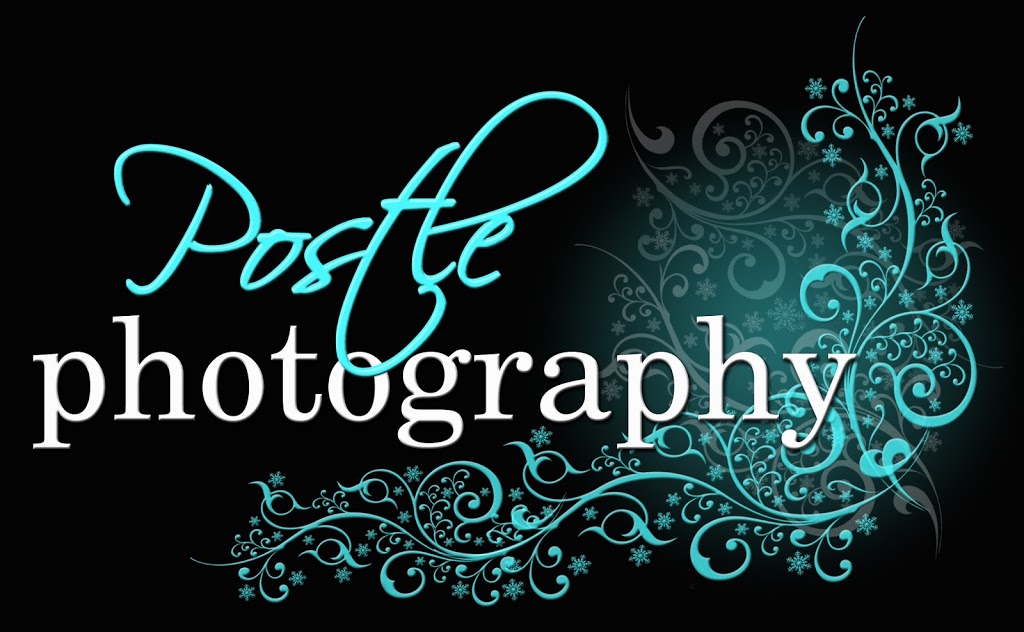 Postle Photography | 1288 Old Palmerston Hwy, Beatrice QLD 4886, Australia | Phone: 0427 845 981