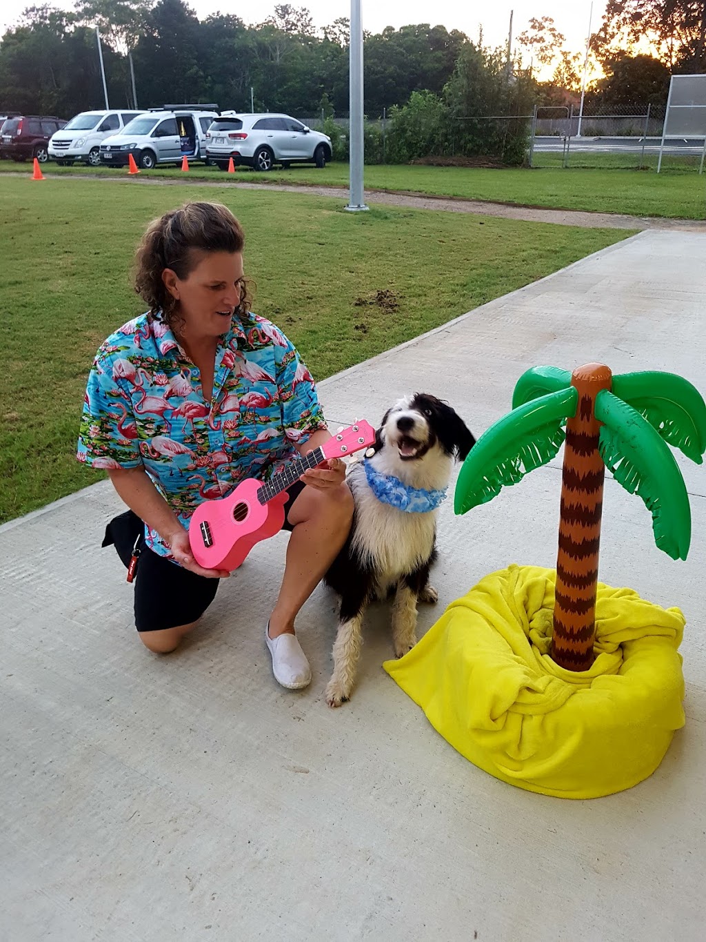 Caboolture Sports Dog Obedience Club | 36 Devine Ct, Morayfield QLD 4506, Australia | Phone: 0450 902 520