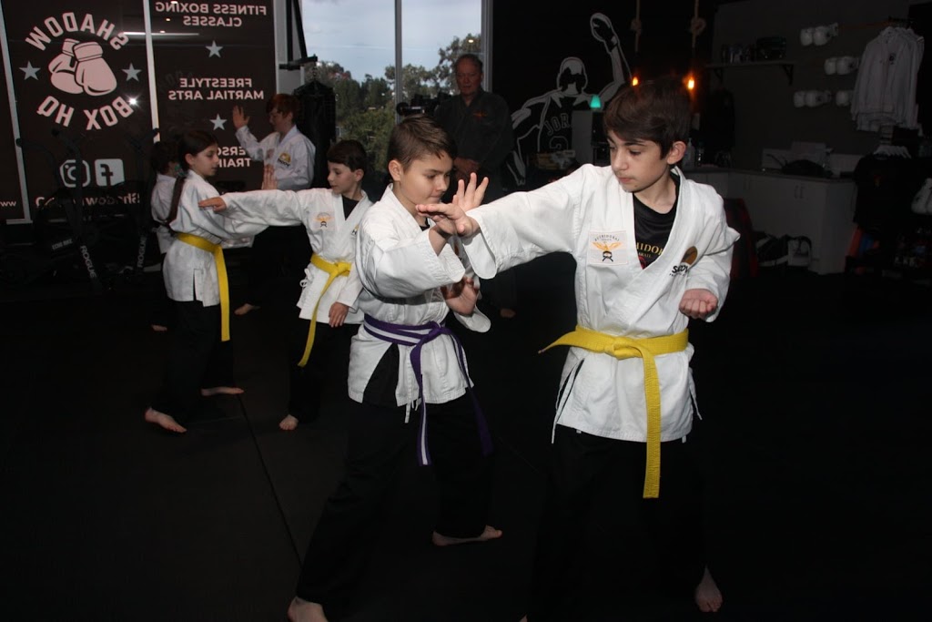 Shadow Martial Arts | Community Centre, 275 Richardson Rd, Spring Farm NSW 2570, Australia | Phone: 0434 378 765